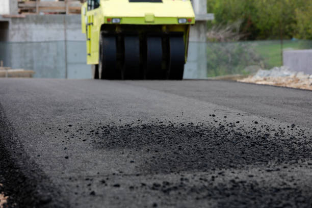 Best Decorative Driveway Pavers  in Gunter, TX